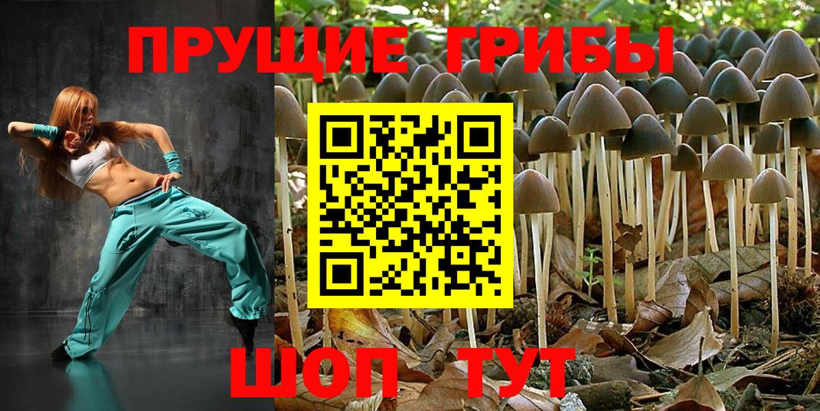 Галлюциногенные грибы мухоморы  Галлюциногенные грибы Magic Shrooms  Бугуруслан  Вход с VPN 