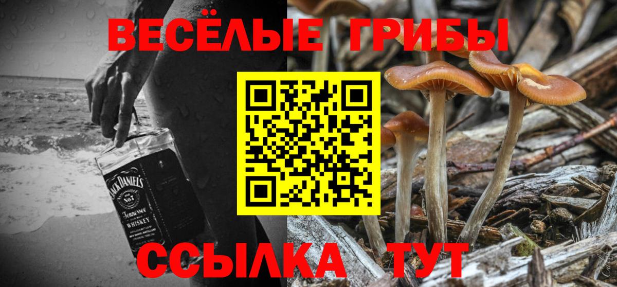 Псилоцибиновые грибы Psilocybine cubensis Бугуруслан